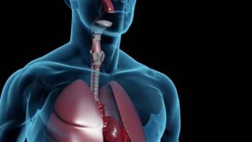 Yemek Borusu Spazmı Belirtileri ve Tedavisi